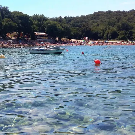 Martina * Njivice