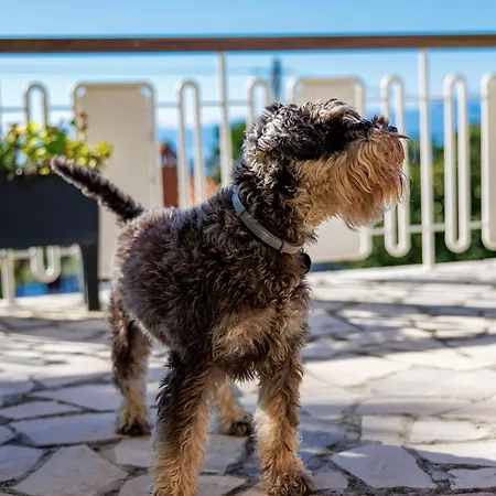 Apartamento Martina *